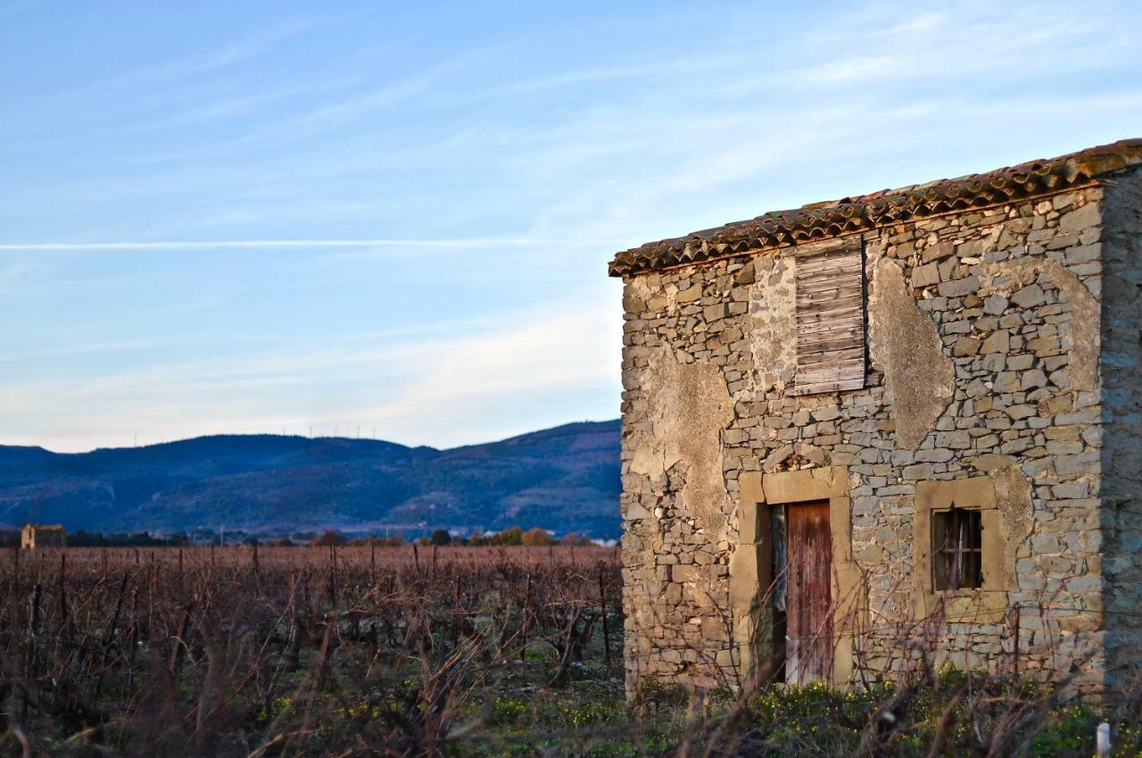 Maison De Margot Peyriac-Minervois Exterior photo